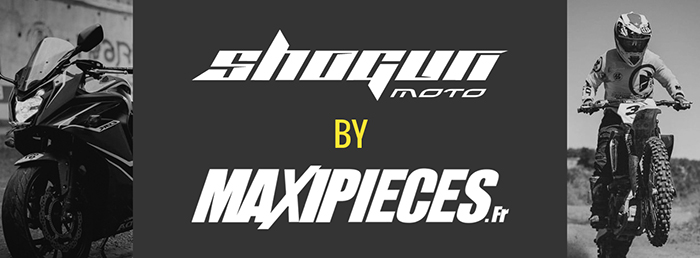 shogunbymaxipieces.jpg