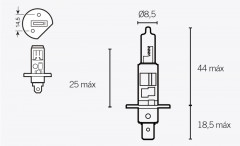 Ampoule H1 12V 55W Vparts | Maxiscooter, Moto DUCATI, PEUGEOT, PIAGGIO, APRILIA, GILERA