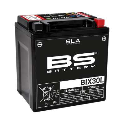 Batterie SLA sans entretien activée usine BIX30L BS BATTERY | WILDCAT SPORT 700, WILDCAT TRAIL 700