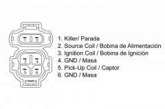 Boitier CDI Tecnium | HONDA XR R 600