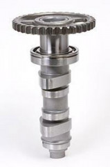 Arbre à cames Stage 1 Hotcams | HONDA CRF R 450