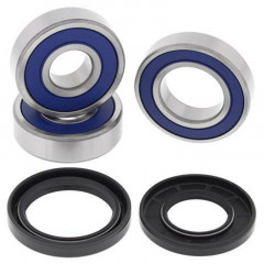 Kit roulements de roue arrière + joints All Balls | VULCAN VN 2000, ZRX 1200, ZZR (ZXC) 1200