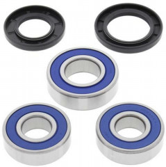 Kit roulements de roue arrière + joints All Balls | DR S 350, DR SE 650, FREEWIND XF 650