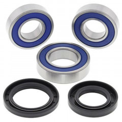 Kit roulements de roue arrière + joints All Balls | Motocross, Moto GAS GAS, MUZ, VOR
