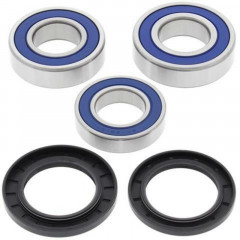 Kit roulements de roue arrière + joints All Balls | YAMAHA FZ8 800