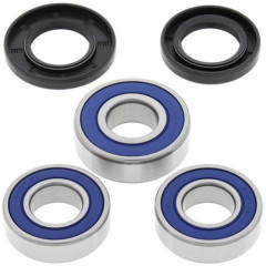Kit roulements de roue arrière + joints All Balls | SUZUKI DR 350, SUZUKI DR SE 350