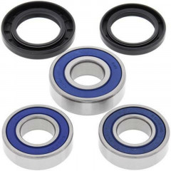 Kit roulements de roue arrière + joints All Balls | DRZ 400, DRZ SM 400, DRZE 400, DRZS 400