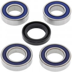 Kit roulements de roue avant + joints All Balls | SUZUKI DR SE 650, SUZUKI FREEWIND XF 650
