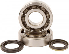 Kit roulements et joints spi de vilebrequin Hot Rods | SUZUKI RMX 450, SUZUKI RMZ 450