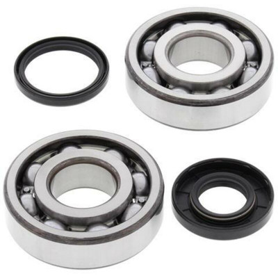 Kit Roulement et Joints Spi Vilebrequin All Balls | CR 125, CR 250, WR 125, WR 250, WR (3H02AC) 300