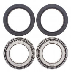 Kit roulements de roue arrière + joints All Balls | DS 650, DS BAJA 650, DS X 650