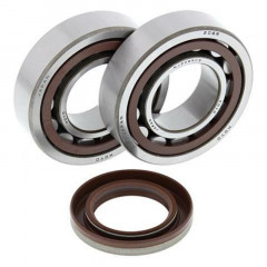 Kit Roulements et Joints Spi Vilebrequin - All Balls | Quad, Moto, Motocross KTM, POLARIS
