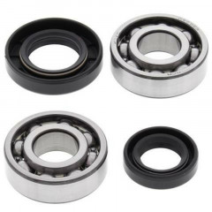 Kit Roulements et Joints Spi Vilebrequin - All Balls | SUZUKI QUADRUNNER LT 50