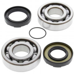 Kit Roulements et Joints Spi Vilebrequin All Balls | DT 400, IT 400, IT 465, WR 500, YZ 465, YZ 490