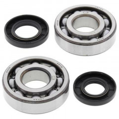 Kit Roulements et Joints Spi Vilebrequin All Balls | KDX 80, KX 60, 65, 80, 85, 100, RM 60, 65