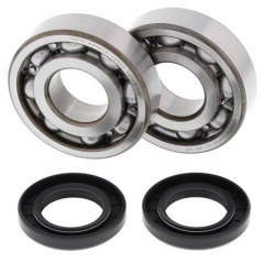 Kit roulements et joints spi vilebrequin All Balls | Motocross KAWASAKI KX 500