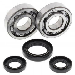 Kit Roulements et Joints Spi Vilebrequin All Balls | Motocross YAMAHA YZ 250