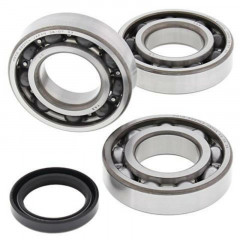 Kit roulements et joints spi vilebrequin All Balls | Quad POLARIS