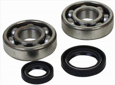 Kit roulements et joints spi vilebrequin All Balls | YAMAHA BANSHEE YFZ 350