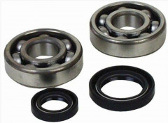 Kit roulements et joints spi vilebrequin All Balls | YAMAHA BANSHEE YFZ 350