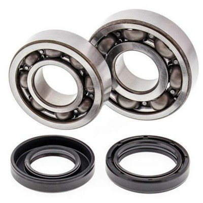 Kit Roulements et Joints Spi Vilebrequin All Balls | YAMAHA BLASTER YFS 200