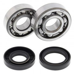 Kit roulements et joints spi vilebrequin All Balls | YAMAHA YZ 80, YAMAHA YZ 85