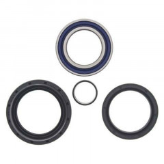 Kit roulements de roue avant + joints All Balls | HONDA TRX FE 350, HONDA TRX FM 350