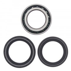 Kit roulements de roue arrière + joints All Balls | FOURTRAX RINCON TRX 680, TRX FA RINCON 4X4 650