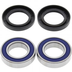 Kit roulements de roue arrière + joints All Balls | Quad KYMCO, ARCTIC CAT, CAN-AM, ADLY, POLARIS