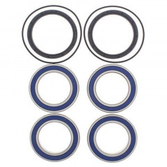 Kit roulements de roue arrière + joints All Balls | SUZUKI QUADRACER LTR 450