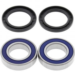 Kit roulements de roue arrière + joints All Balls | Quad SUZUKI