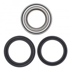 Kit roulements de roue arrière + joints All Balls | Quad SUZUKI