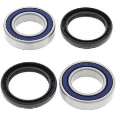 Kit roulements de roue arrière + joints All Balls | RAPTOR YFM 125, RAPTOR YFM 250, RAPTOR YFM 350
