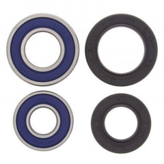 Kit roulements de roue avant + joints All Balls | Quad, Ssv