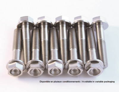 Kit vis titane SCAR M6x12 par 6