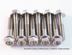 Kit vis titane SCAR M6x12 par 6