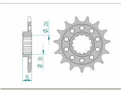 Pignon standard 17 dents type 166801 pas 520 Afam | Moto BMW