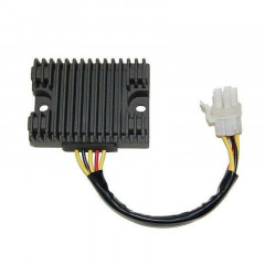 Régulateur Electro Sport | CAN-AM DS 650, CAN-AM DS BAJA 650, CAN-AM DS X 650