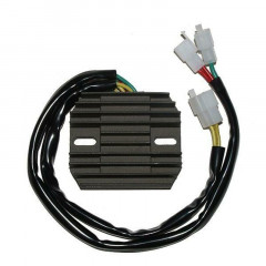 REGULATEUR VT1100C 87-05