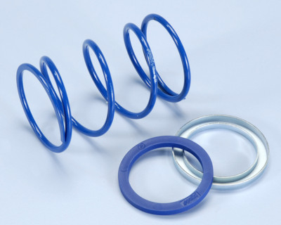 RESSORT DE POUSSEE POLINI EVO SLIDE - PIAG.