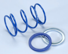RESSORT DE POUSSEE POLINI EVO SLIDE - PIAG.
