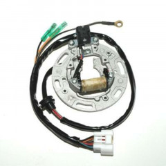 Stator Electro Sport | KAWASAKI KX 85, KAWASAKI KX 100