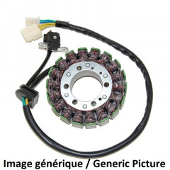 Stator Electro Sport | HONDA CBF 1000