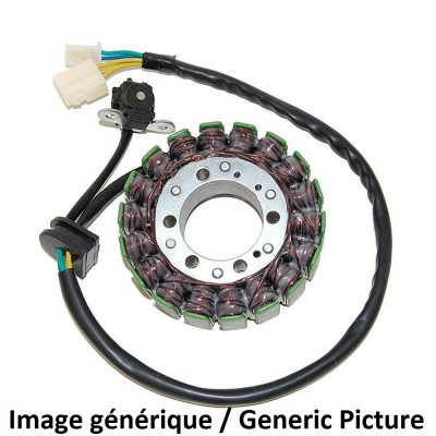 Stator Electro Sport | HYOSUNG GV AQUILA CUSTOM 650, HYOSUNG GV R 650, HYOSUNG GV S 650