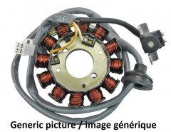 Stator Tecnium | TRIUMPH DAYTONA I MONO 955, TRIUMPH SPRINT I RS 955, TRIUMPH SPRINT I ST 955