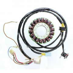 Stator Electro Sport | POLARIS SPORTSMAN 450, POLARIS SPORTSMAN 500, POLARIS SPORTSMAN HO 500