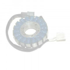 Stator Electro Sport | TRIUMPH SPRINT ST 1050, TRIUMPH TIGER 1050