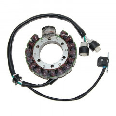 Stator Electro Sport | YAMAHA BIG BEAR SPECIAL EDITION YFM 350, YAMAHA WARRIOR YFM 350