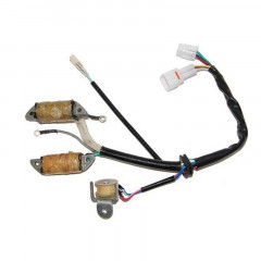 Stator Electro Sport | YAMAHA BADGER YFM 80, YAMAHA RAPTOR YFM 50, YAMAHA RAPTOR YFM 80