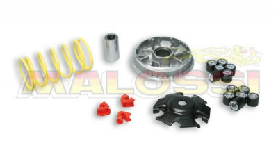 Variateur Multivar 2000 Malossi